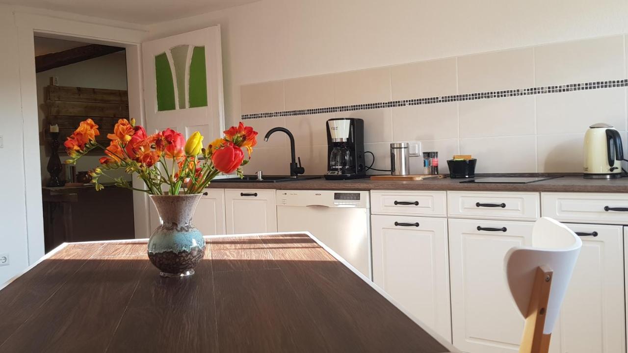Ferienwohnung Malu Sol Im Harz - Stilvoll, Gemuetlich, Tierfreundlich - Mit Garten Allrode Exterior photo
